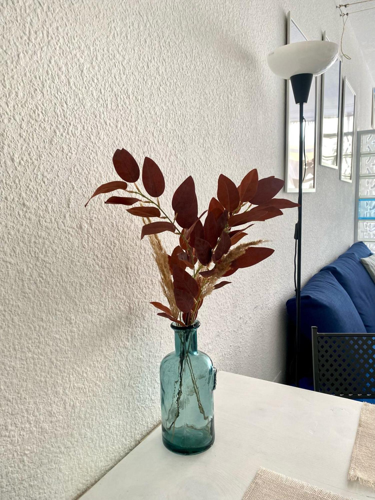 Arcadia Del Mar Apartment كوراليهو المظهر الخارجي الصورة